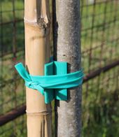 X-förmige PVC-Stütze zwischen Bambusrohr und Pflanze. Schützt den Stamm der Pflanze und passt sich an ihr Wachstum an. Das Produkt wird in Baumschulen verwendet. 