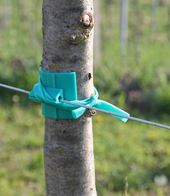 Tutore in pvc per alberi, protezione corteccia, per filo di ferro, pvc villafranca di verona AGROPLAST