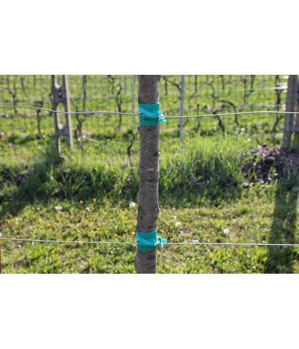 Pvc brace . Protects the trunk of the plant and adapts to its growth. Product used in nurseries.  Protects bark from wire