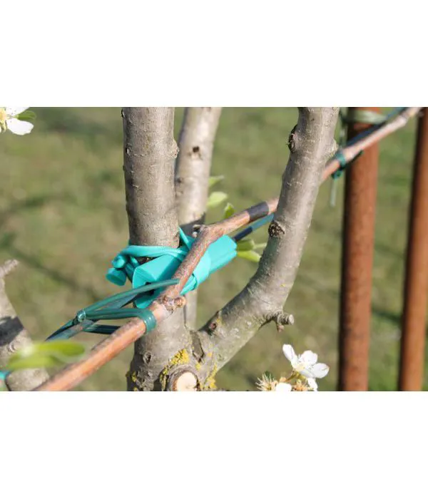C7 wire guard , tree guard. 