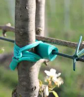 protection for tree trunk from wire. A comfortable embrace for the tree.