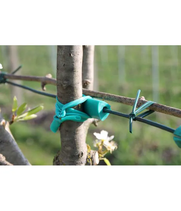 protection for tree trunk from wire. A comfortable embrace for the tree.