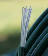 Cables and rubber bands for Vine shoot tipping machine / sucker remover