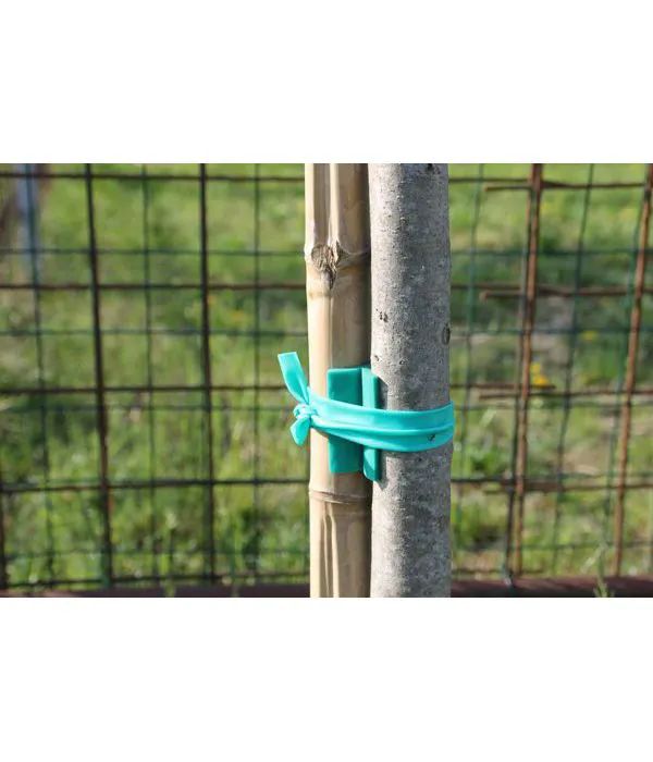 Salvatronco X35/30 per piante con supporto 