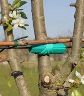 Treecushion C7 for iron wire