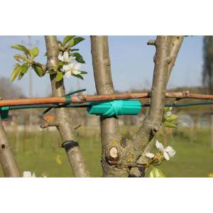 Treecushion C7 for iron wire