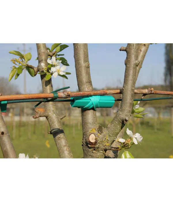 Treecushion C7 for iron wire
