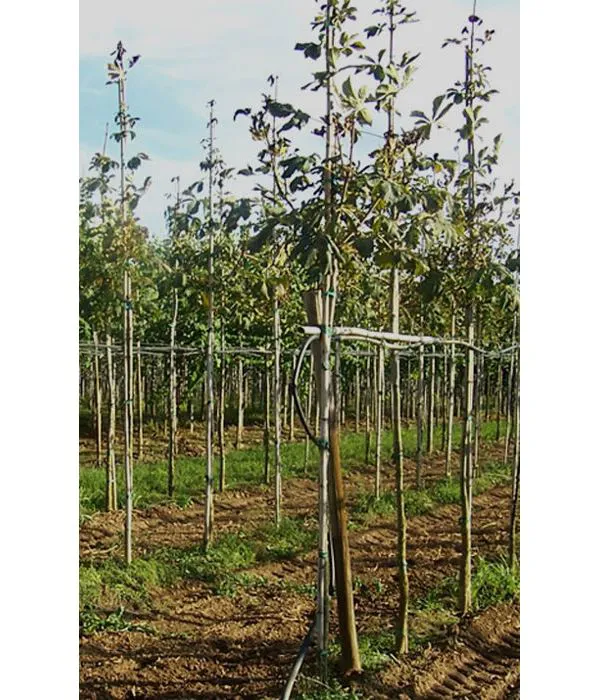 Tubetto agricolo in PVC 